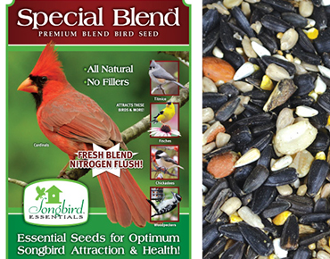 Special Blend Bird Seed