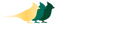 birdmanmel