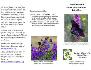 Central Missouri Native Host Plants for Butterflies - Songbird Station