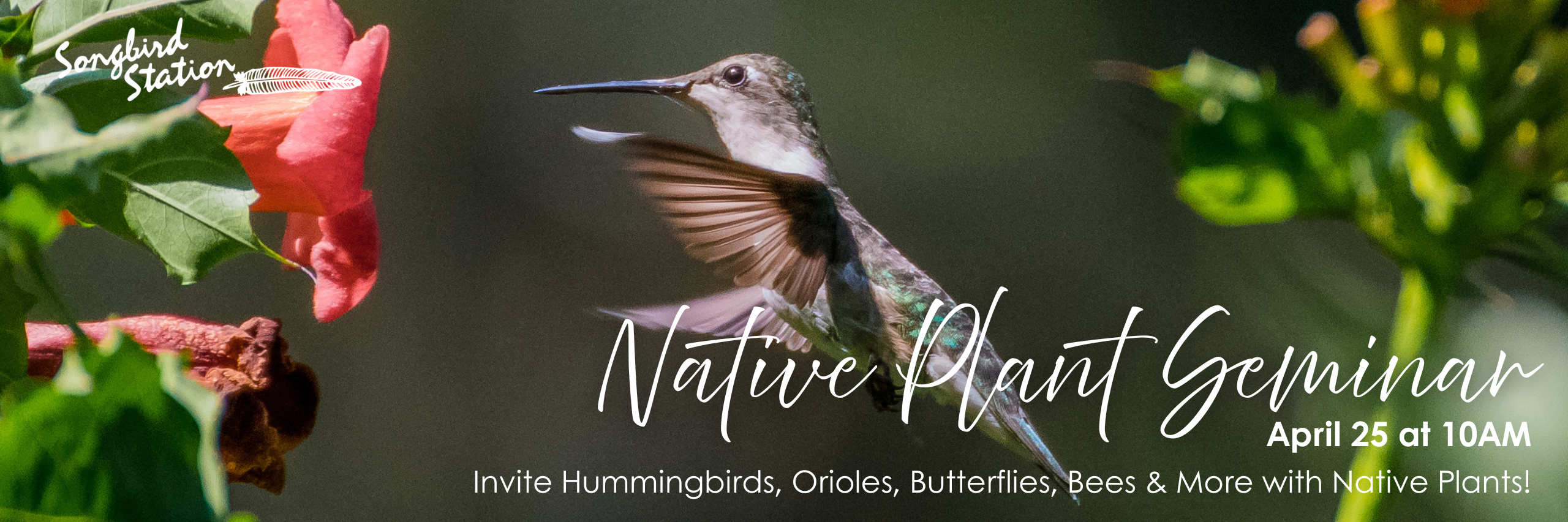 songbird Station Native Plants Seminar