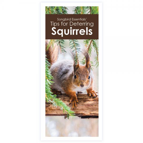 Tips for Deterring Squirrels