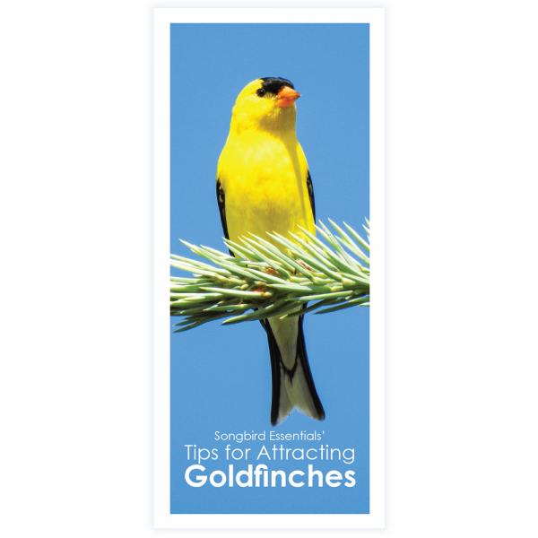 Tips for Attracting Goldfinches 