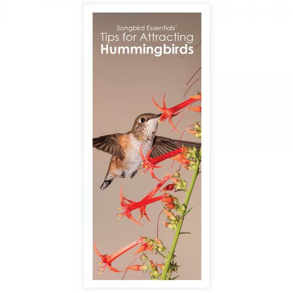 Tips for Attracting Hummingbirds