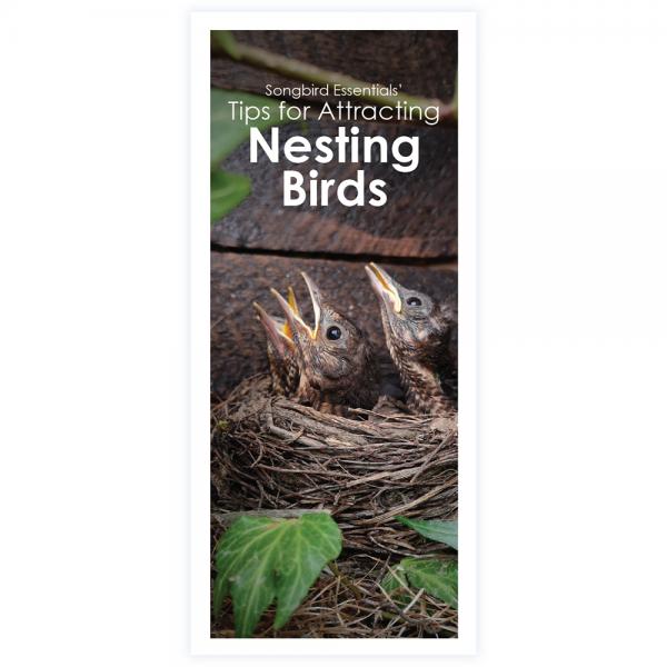 Tips for Nesting Birds 