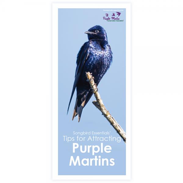 Tips for Attracting Purple Martins