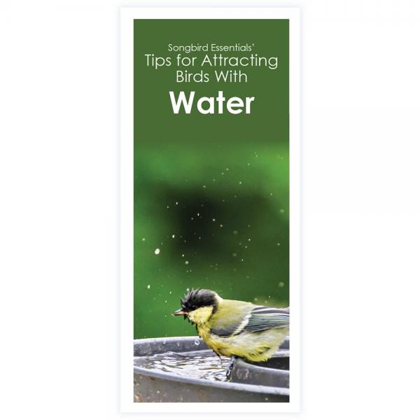 Tips for Attracting Birds with Water 